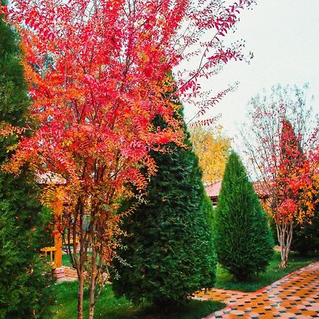 Hotel Grace Garden Kum Extérieur photo